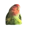 rjihno