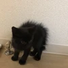 福田さん