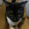 ワタナヴぇ