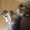 ご