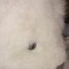 しろくまちゃんのえいがレヴュー