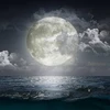 不夜