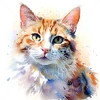 Fumi