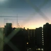 光
