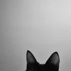 mao