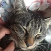 お金のかから無い趣味を