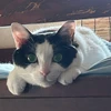 Naoko