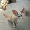 うた