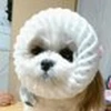 さやか