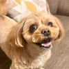 マロン
