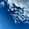 ふくしん
