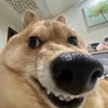 ontheバス