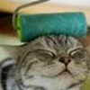 Y氏の三年目