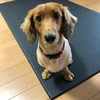 レオ
