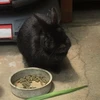 あんど