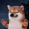 やまだたろたろ