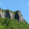 tapkala