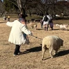 みずな
