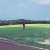 Tomo