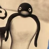 HD
