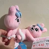 食べ物の王