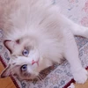 Nana