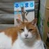 トム