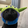 3000