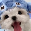 pomu