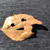太陽358