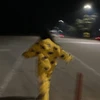 ほのか