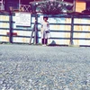 charu