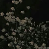 汐