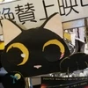 パケ猫パケたん