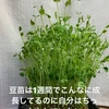 丸山