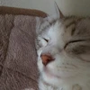 えまち