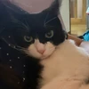 みゆう