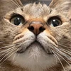 りりりり