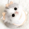 _せいろ蒸し