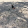 よ