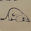 梨