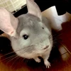 そら
