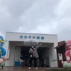 りんこ