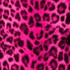 Kittycat