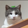 gankxys2