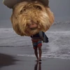 TARO