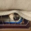 のり