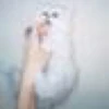 れいこ