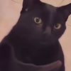 にょーんw