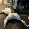 とりっぴからあげ